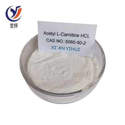 Poudre d'acétyl L-carnitine HCL
