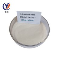 Poudre de base de L-Carnitine