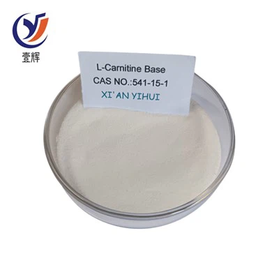 Poudre de base de L-Carnitine
